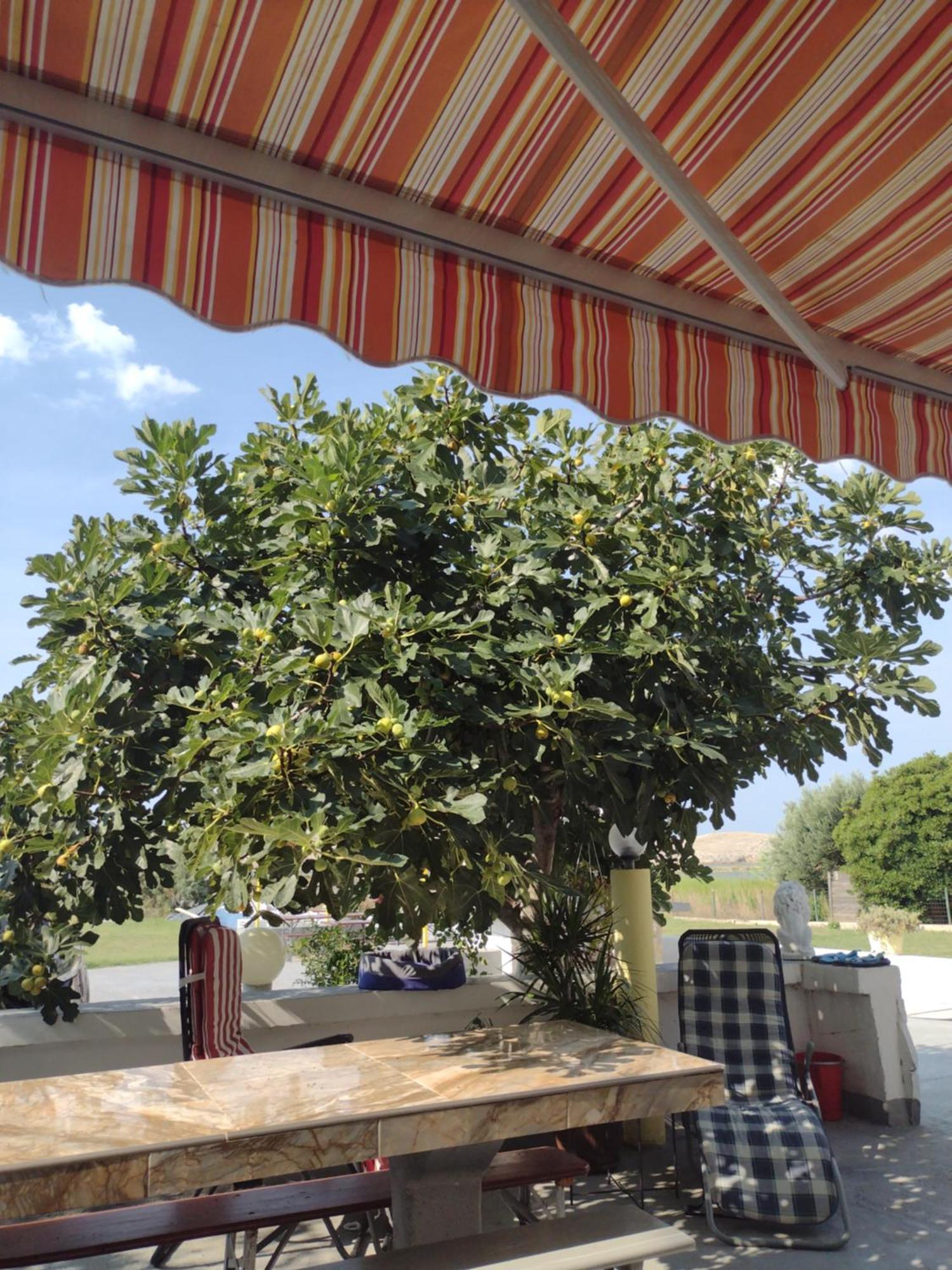 Apartmani Alen Dinjiška Buitenkant foto